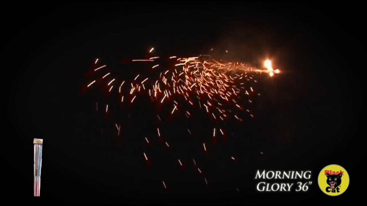 Black Cat 36 inch Morning Glory Bartz Fireworks